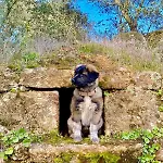 Feriehus Herdade De Acores *