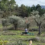 Herdade De Acores Feriehus