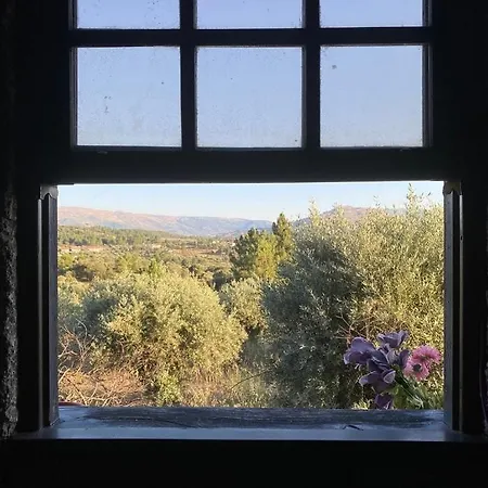 Herdade De Acores 펜션 Aldeia Rica