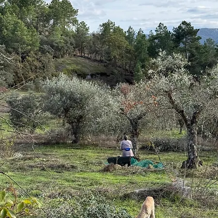 Herdade De Acores 펜션