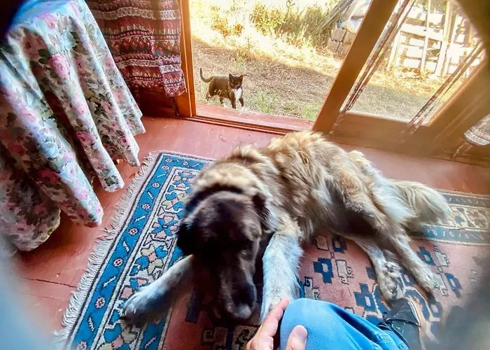 Herdade De Açores * Aldeia Rica